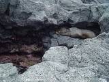 20050705_16-36-25.jpg